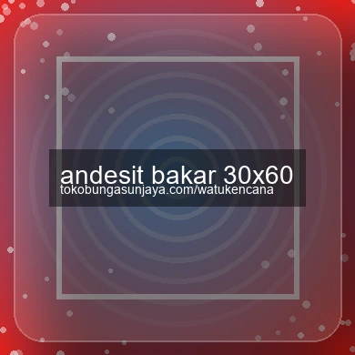 Andesit Bakar 30x60