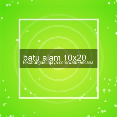 Batu Alam 10x20