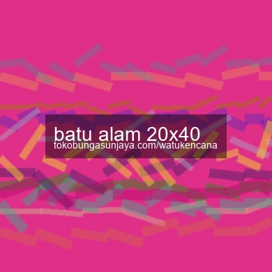 Batu Alam 20x40