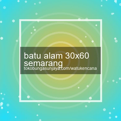 Batu Alam 30x60 Semarang