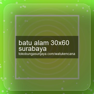 Batu Alam 30x60 Surabaya