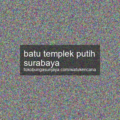 Batu Templek Putih Surabaya