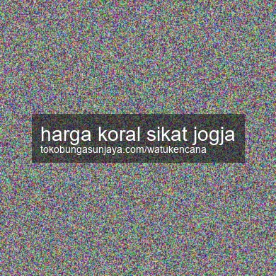 Harga Koral Sikat Jogja