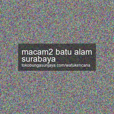 Macam2 Batu Alam Surabaya