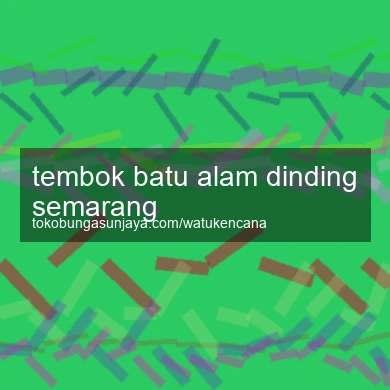 Tembok Batu Alam Dinding Semarang